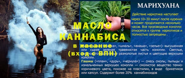 PSILOCYBIN Богданович
