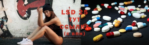 PSILOCYBIN Богданович
