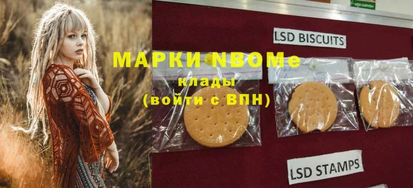 PSILOCYBIN Богданович