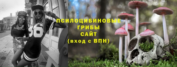 mdma Богородицк