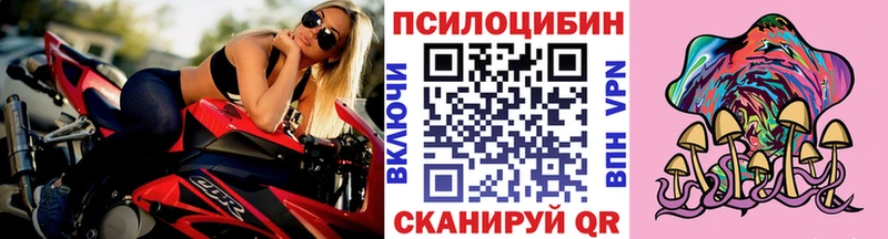 Псилоцибиновые грибы Cubensis  где найти   Гай 